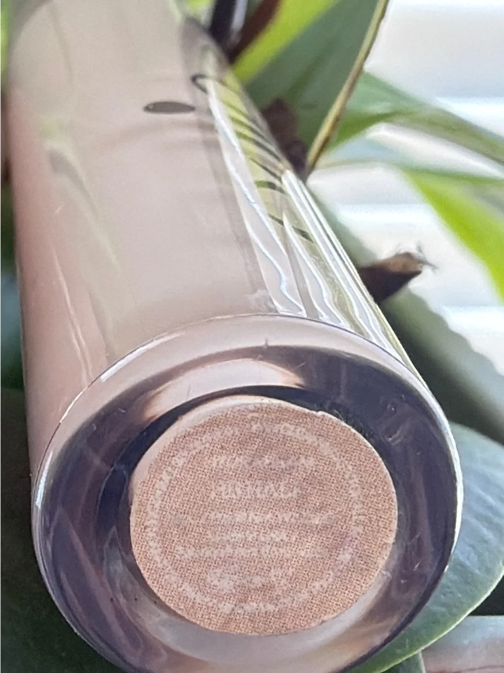 Salté Radiant Liquid Concealer - Cream Shade